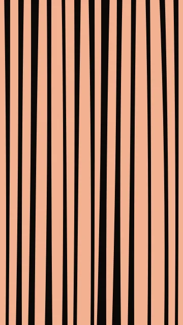 Burnt Orange zebra phone wallpaper — free HD burnt orange mobile wallpaper 1080x1920