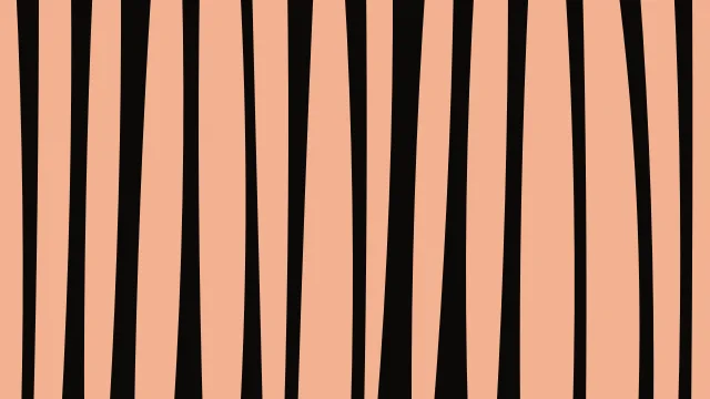 Burnt Orange zebra print background — free HD burnt orange color wallpaper 1920x1080