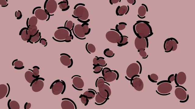 Burnt Rose leopard print background — free HD burnt rose color wallpaper 1920x1080