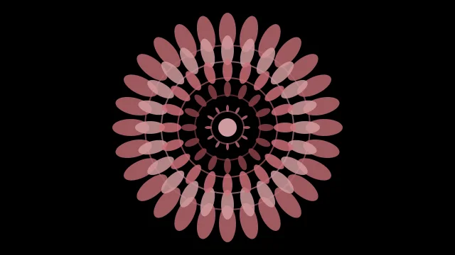 Burnt Rose mandala background — free HD burnt rose color wallpaper 1920x1080