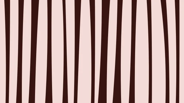Burnt Tangerine zebra print background — free HD burnt tangerine color wallpaper 1920x1080