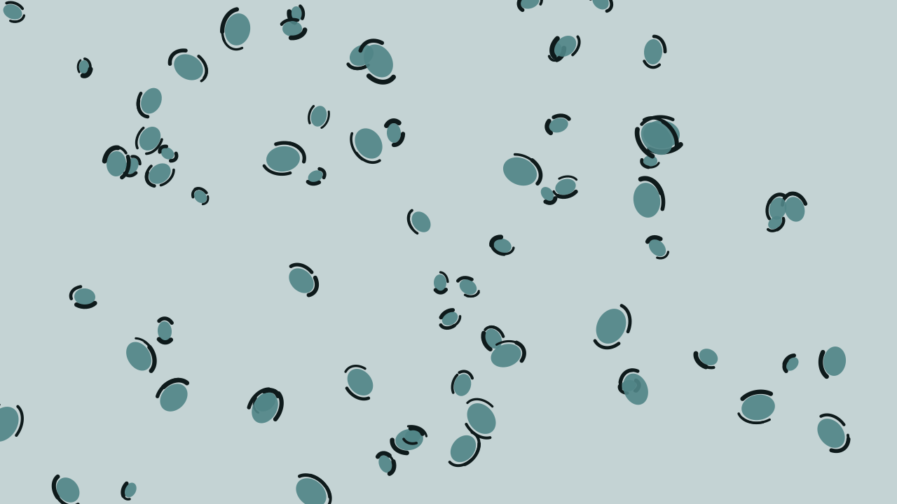 Cadet Blue leopard print background — free HD cadet blue color wallpaper 1920x1080
