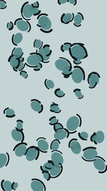 Cadet Blue leopard phone wallpaper — free HD cadet blue mobile wallpaper 1080x1920