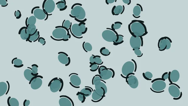 Cadet Blue leopard print background — free HD cadet blue color wallpaper 1920x1080