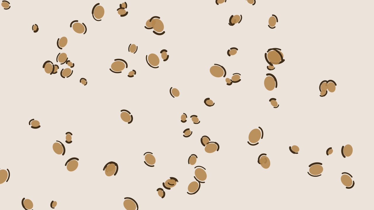 Camel leopard print background — free HD camel color wallpaper 1920x1080