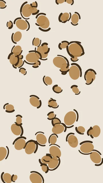 Camel leopard phone wallpaper — free HD camel mobile wallpaper 1080x1920