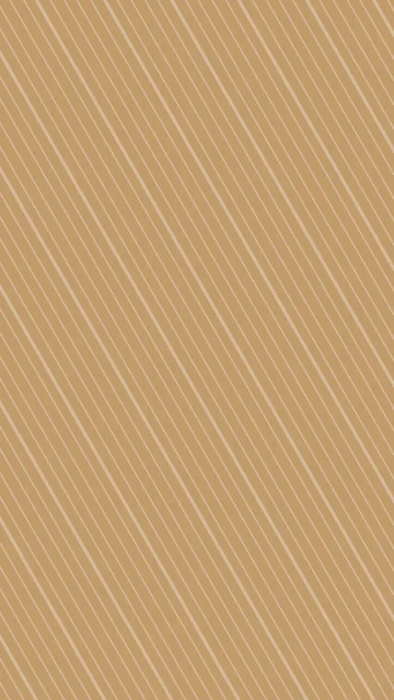 Camel lines phone wallpaper — free HD camel mobile wallpaper 1080x1920