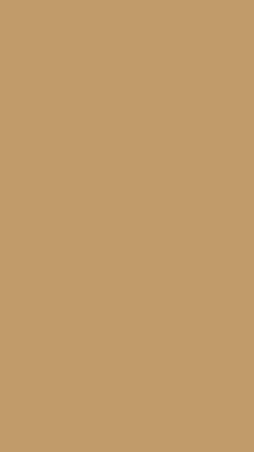 Camel solid phone wallpaper — free HD camel mobile wallpaper 1080x1920