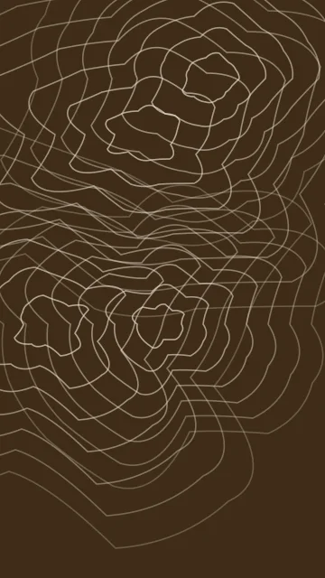 Camel topographic phone wallpaper — free HD camel mobile wallpaper 1080x1920