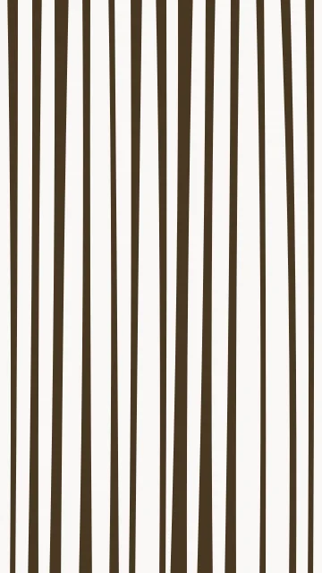 Camel zebra phone wallpaper — free HD camel mobile wallpaper 1080x1920