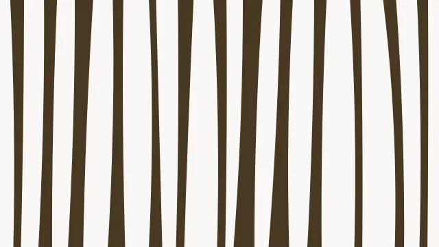 Camel zebra desktop wallpaper — free 4K camel wallpaper 3840x2160