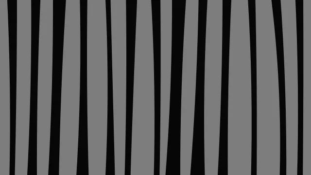 Carbon Black zebra desktop wallpaper — free 4K carbon black wallpaper 3840x2160