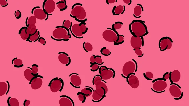 Carmine leopard print background — free HD carmine color wallpaper 1920x1080