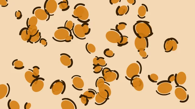 Carrot Orange leopard print background — free HD carrot orange color wallpaper 1920x1080
