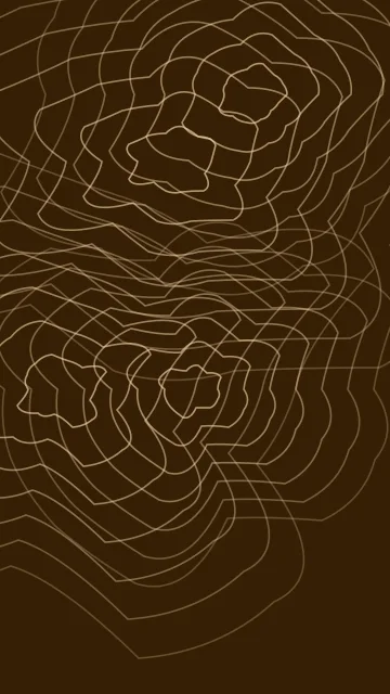 Carrot Orange topographic phone wallpaper — free HD carrot orange mobile wallpaper 1080x1920