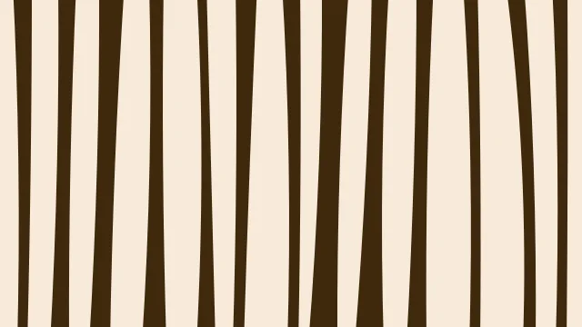 Carrot Orange zebra print background — free HD carrot orange color wallpaper 1920x1080