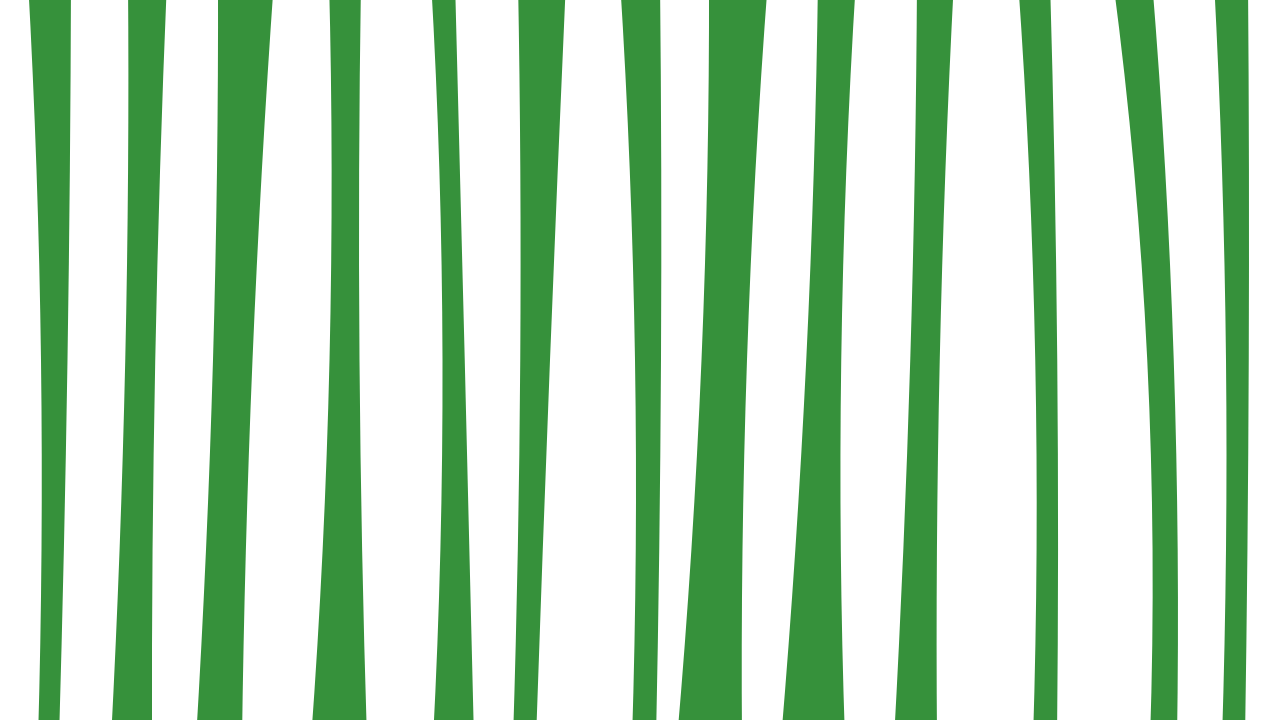 Celadon zebra print background — free HD celadon color wallpaper 1920x1080