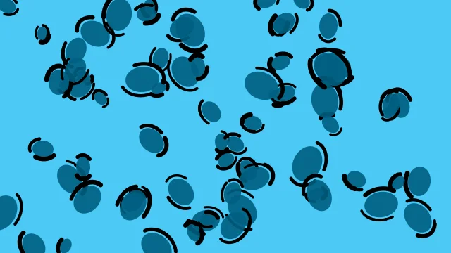 Cerulean leopard print background — free HD cerulean color wallpaper 1920x1080