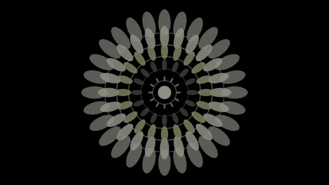 Charcoal Brown mandala background — free HD charcoal brown color wallpaper 1920x1080