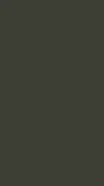 Charcoal Brown solid phone wallpaper — free HD charcoal brown mobile wallpaper 1080x1920
