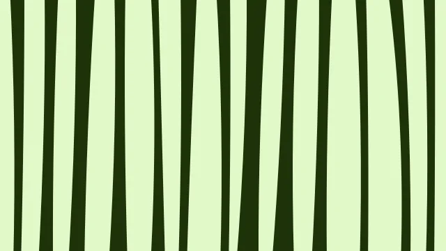 Chartreuse zebra desktop wallpaper — free 4K chartreuse wallpaper 3840x2160