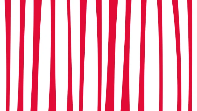 Cherry Blossom zebra print background — free HD cherry blossom color wallpaper 1920x1080