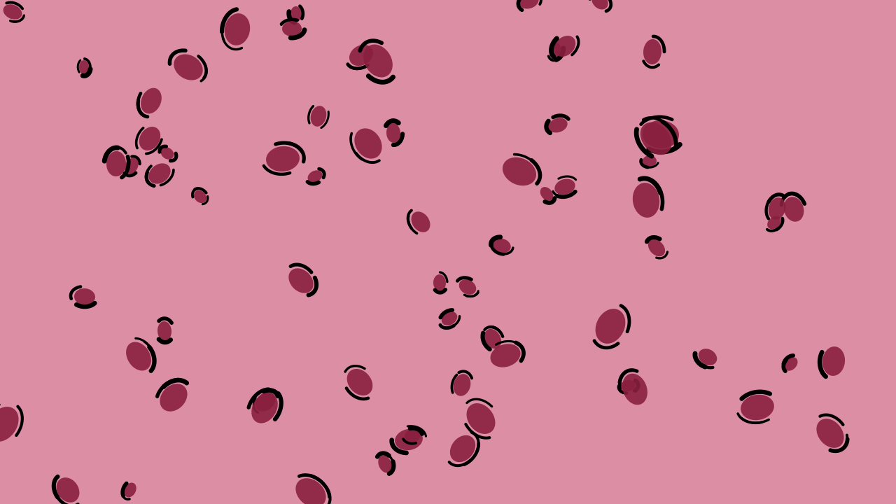 Cherry Rose leopard print background — free HD cherry rose color wallpaper 1920x1080