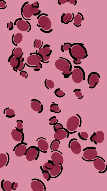 Cherry Rose leopard phone wallpaper — free HD cherry rose mobile wallpaper 1080x1920
