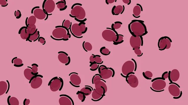 Cherry Rose leopard print background — free HD cherry rose color wallpaper 1920x1080