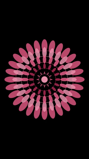 Cherry Rose mandala phone wallpaper — free HD cherry rose mobile wallpaper 1080x1920