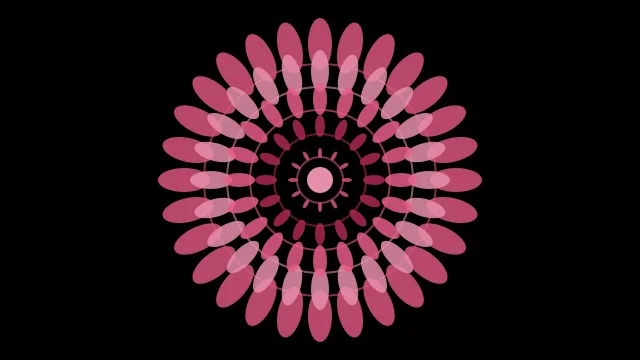 Cherry Rose mandala background — free HD cherry rose color wallpaper 1920x1080