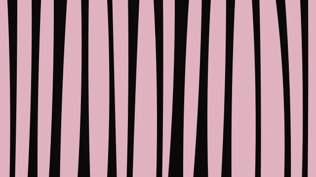 Cherry Rose zebra print background — free HD cherry rose color wallpaper 1920x1080