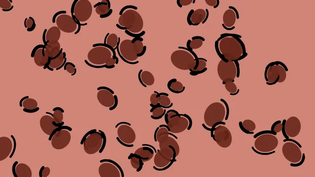 Chestnut leopard print background — free HD chestnut color wallpaper 1920x1080