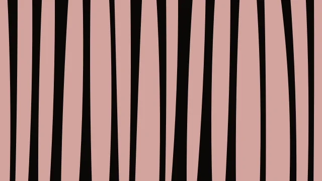 Chestnut zebra print background — free HD chestnut color wallpaper 1920x1080