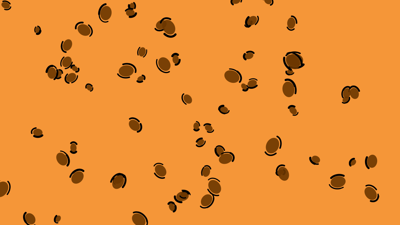 Chocolate Brown leopard print background — free HD chocolate brown color wallpaper 1920x1080