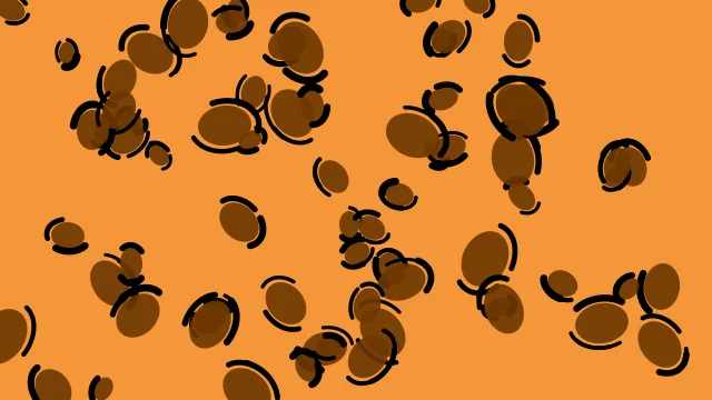 Chocolate Brown leopard print background — free HD chocolate brown color wallpaper 1920x1080