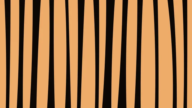 Chocolate Brown zebra print background — free HD chocolate brown color wallpaper 1920x1080
