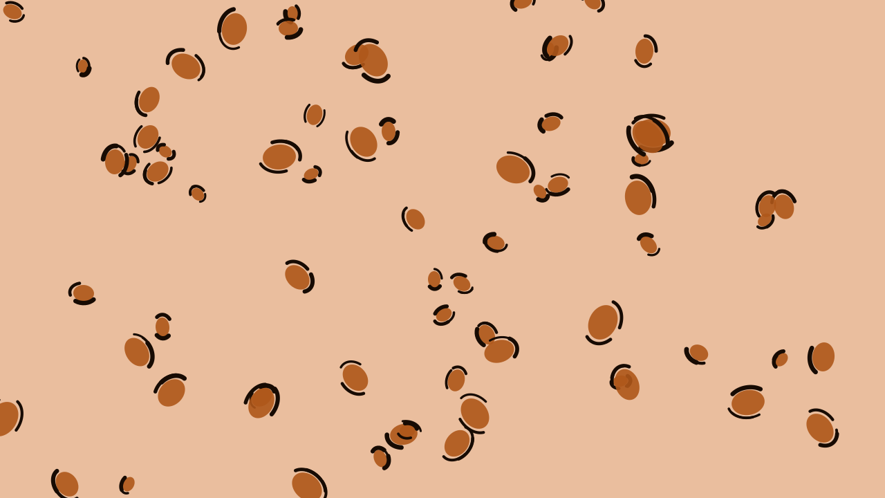 Chocolate leopard print background — free HD chocolate color wallpaper 1920x1080