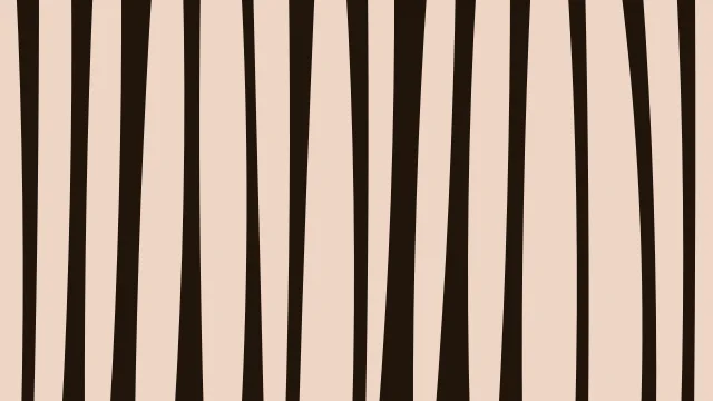 Chocolate zebra print background — free HD chocolate color wallpaper 1920x1080