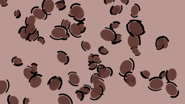 Clay Soil leopard print background — free HD clay soil color wallpaper 1920x1080