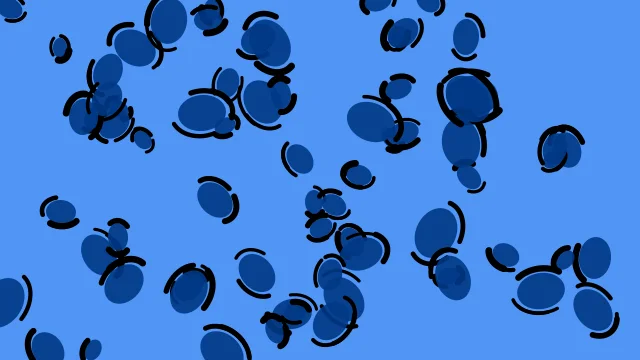 Cobalt Blue leopard desktop wallpaper — free 4K cobalt blue wallpaper 3840x2160