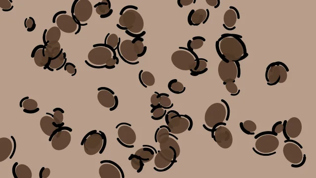 Coffee Bean leopard print background — free HD coffee bean color wallpaper 1920x1080