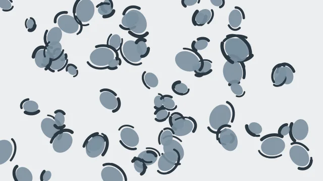 Cool Steel leopard desktop wallpaper — free 4K cool steel wallpaper 3840x2160