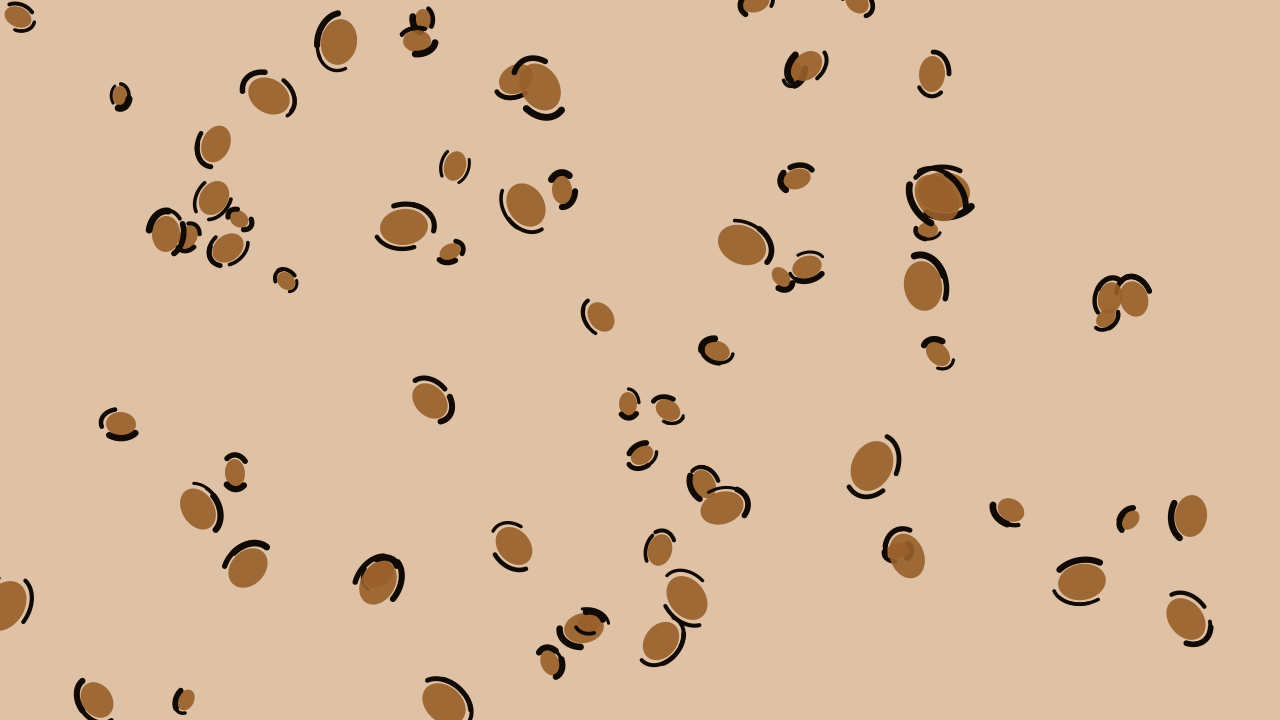 Copper leopard print background — free HD copper color wallpaper 1920x1080