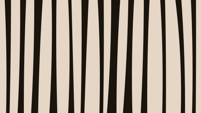 Copper zebra print background — free HD copper color wallpaper 1920x1080