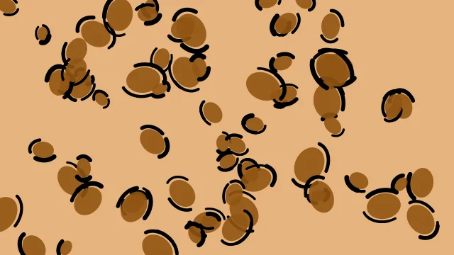Copperwood leopard print background — free HD copperwood color wallpaper 1920x1080