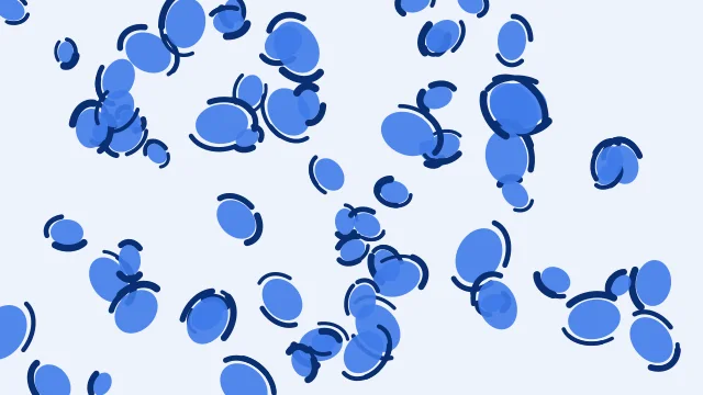 Cornflower Blue leopard desktop wallpaper — free 4K cornflower blue wallpaper 3840x2160