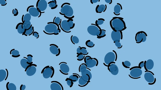 Cornflower Ocean leopard print background — free HD cornflower ocean color wallpaper 1920x1080