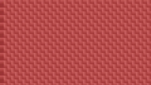 Cotton Rose carbon fiber background — free HD cotton rose color wallpaper 1920x1080