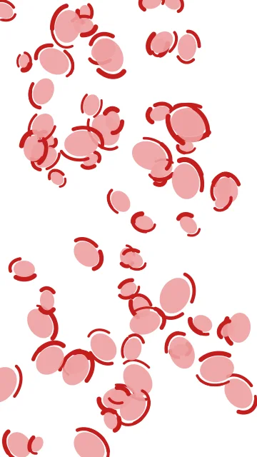 Cotton Rose leopard phone wallpaper — free HD cotton rose mobile wallpaper 1080x1920